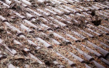 Yealand Redmayne roof cleaning companies