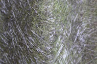 Yealand Redmayne fibreglass roof work